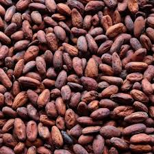 Cocoa